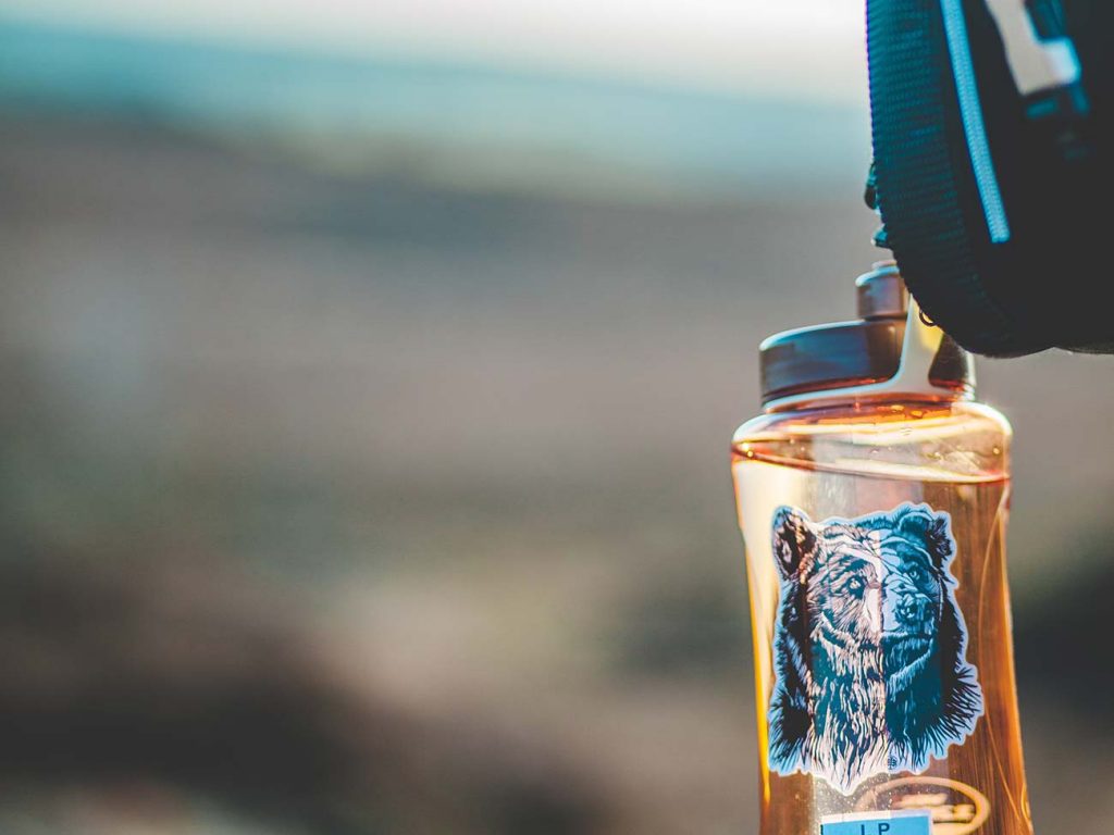 Close-up photo of a orange clear water bottle with a bear sticker on 