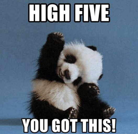 Meme of a baby panda raising its paw in the air