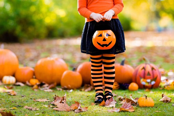 Young girl in an orange sweater on a pumpkin hunt for Halloween