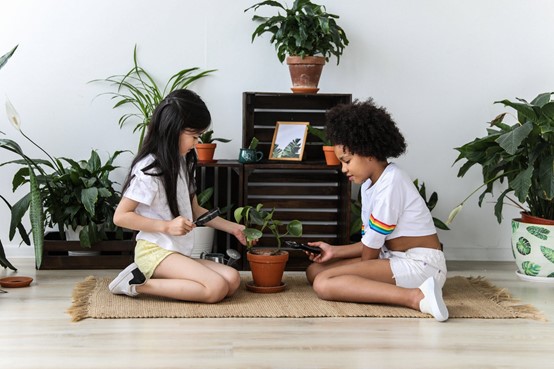 Photograph of two young children with magnify glasses and small trimmers tending to a small potted houseplant