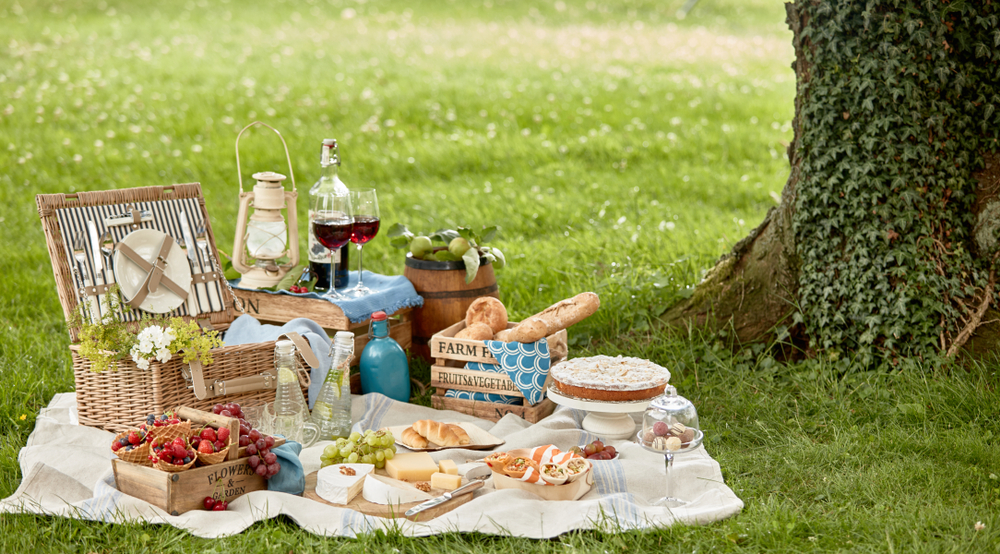 Blanket with picnic food including bread, glasses of wine and cheese set on green grass under a tree in a park