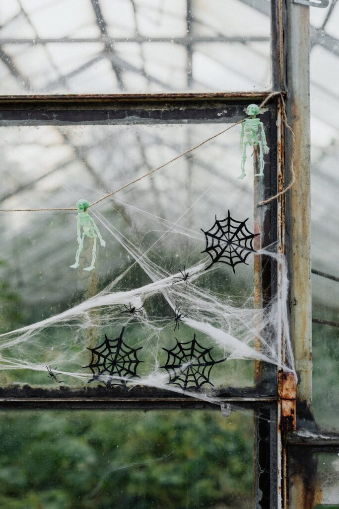 A window of a large greenhouse decorated with spooky cobwebs and plastic skeletons on a string.
