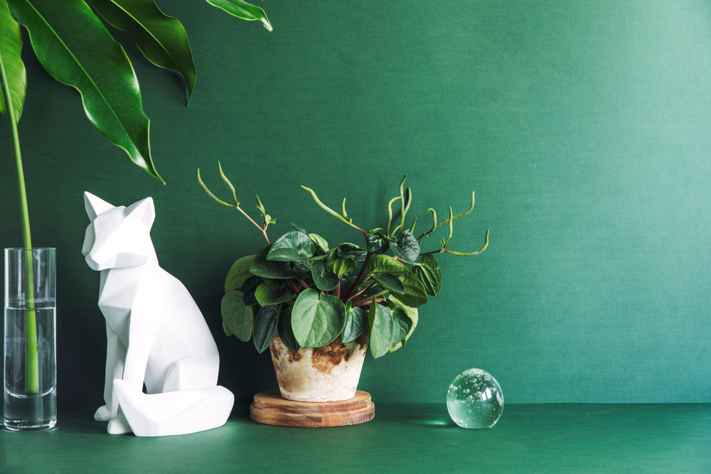 Green minimalistic room with cat figures, tropical leaf in glass vase and stylish plant