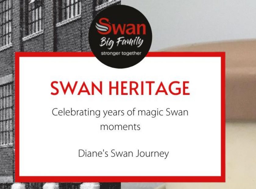 Heritage: Diane’s 32 Year Old Swan Slow Cooker - 