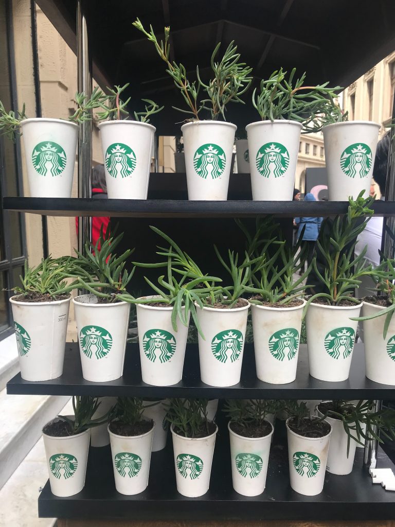 A stand of Starbucks cardboard cups used for planters.