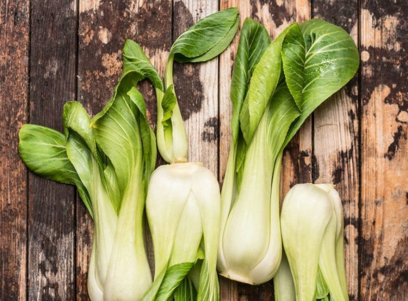 5 of our Absolute Favourite Pak Choi Recipes - 